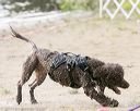20140816-vers-0032