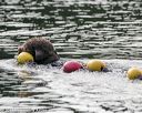 20140816-vers-0042