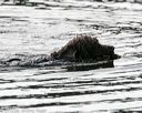 20140816-vers-0046
