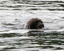 20140816-vers-0050