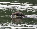 20140816-vers-0064
