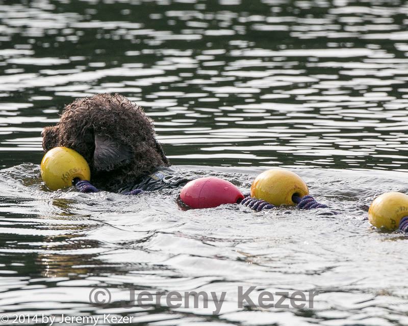 20140816-vers-0041.jpg