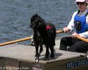20140816-wwd-0009