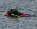 20140816-wwd-0023