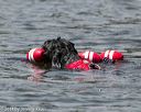 20140816-wwd-0032