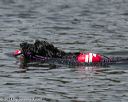 20140816-wwd-0056