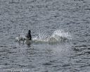 20140816-wwd-0087