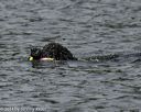20140816-wwd-0092