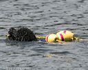 20140816-wwd-0108