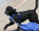 20140816-wwd-0151