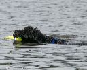20140816-wwd-0158