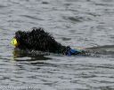 20140816-wwd-0177