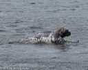 20140816-wwd-0222