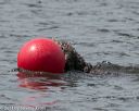 20140816-wwd-0237