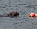 20140816-wwd-0240