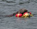 20140816-wwd-0242