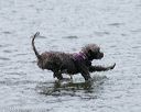 20140816-wwd-0264