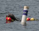 20140816-wwd-0269