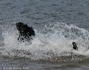 20140816-wwd-0287