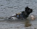 20140816-wwd-0289