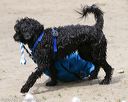 20140816-wwd-0304