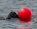 20140816-wwd-0322