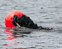 20140816-wwd-0328