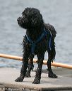 20140816-wwd-0344