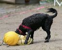 20140816-wwd-0369