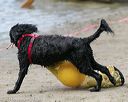 20140816-wwd-0371
