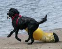 20140816-wwd-0378