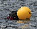 20140816-wwd-0402