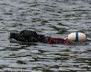 20140816-wwd-0423