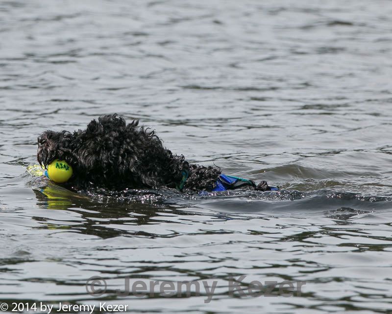 20140816-wwd-0159.jpg