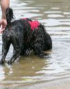20140817-awd-0018