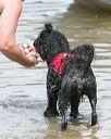 20140817-awd-0019
