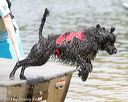 20140817-awd-0036