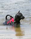 20140817-awd-0047