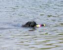 20140817-awd-0071