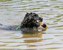 20140817-awd-0073
