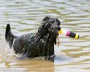 20140817-awd-0074