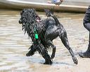 20140817-awd-0083