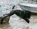 20140817-awd-0096