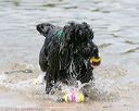 20140817-awd-0111