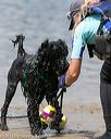 20140817-awd-0114