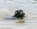 20140817-awd-0121