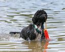 20140817-awd-0137