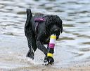 20140817-awd-0183