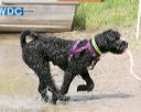 20140817-awd-0198