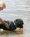 20140817-awd-0218